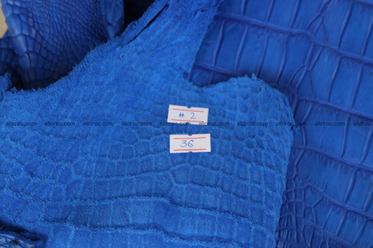 Crocodile skin belly blue color 1254 Foto 21