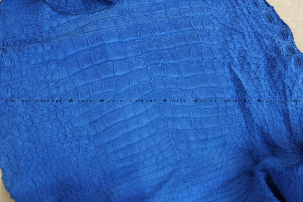 Crocodile skin belly blue color 1254 Foto 22