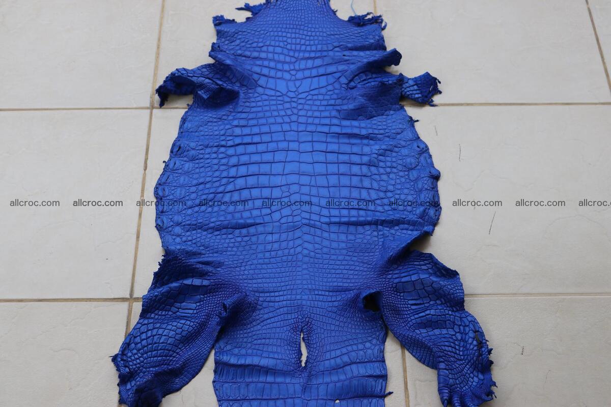 Crocodile skin belly blue color 1255 Foto 1