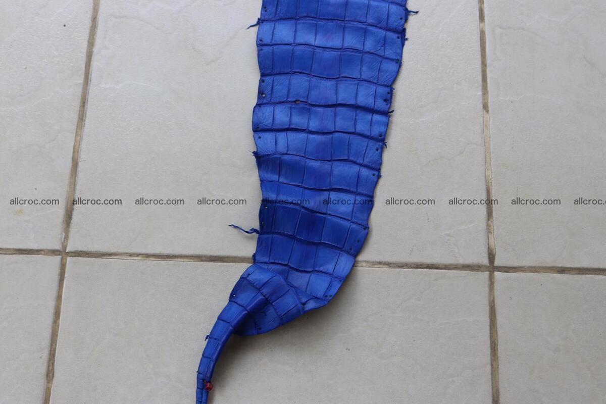 Crocodile skin belly blue color 1255 Foto 4