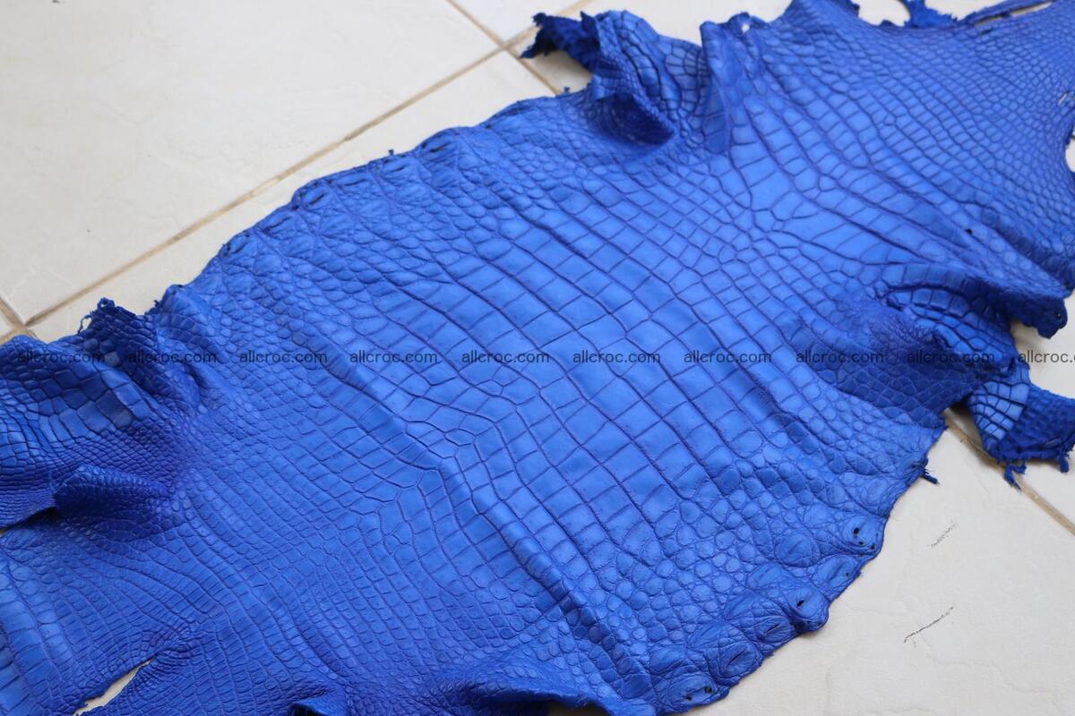 Crocodile skin belly blue color 1255 Foto 5