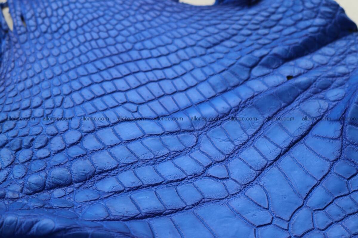 Crocodile skin belly blue color 1255 Foto 6