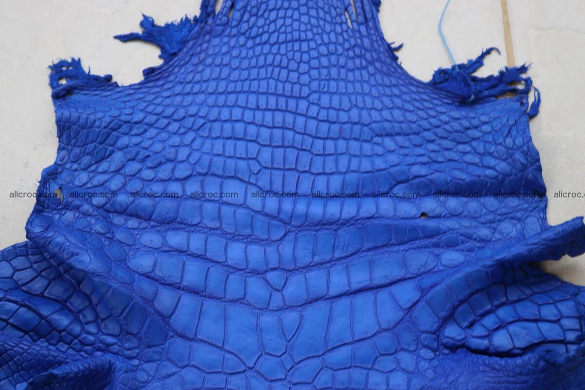 Crocodile skin belly blue color 1255 Foto 7