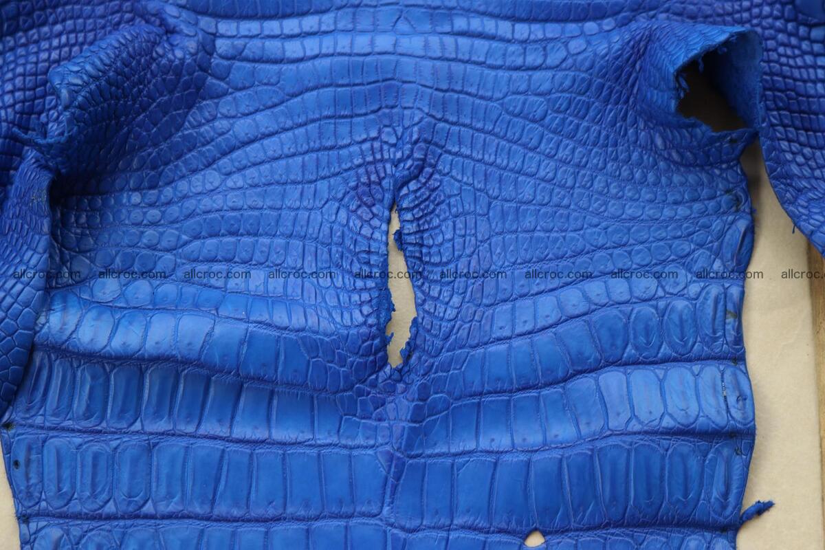 Crocodile skin belly blue color 1255 Foto 11