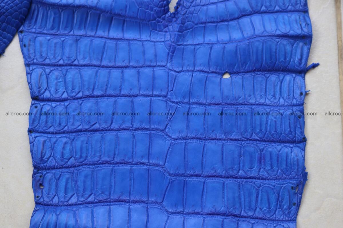 Crocodile skin belly blue color 1255 Foto 12