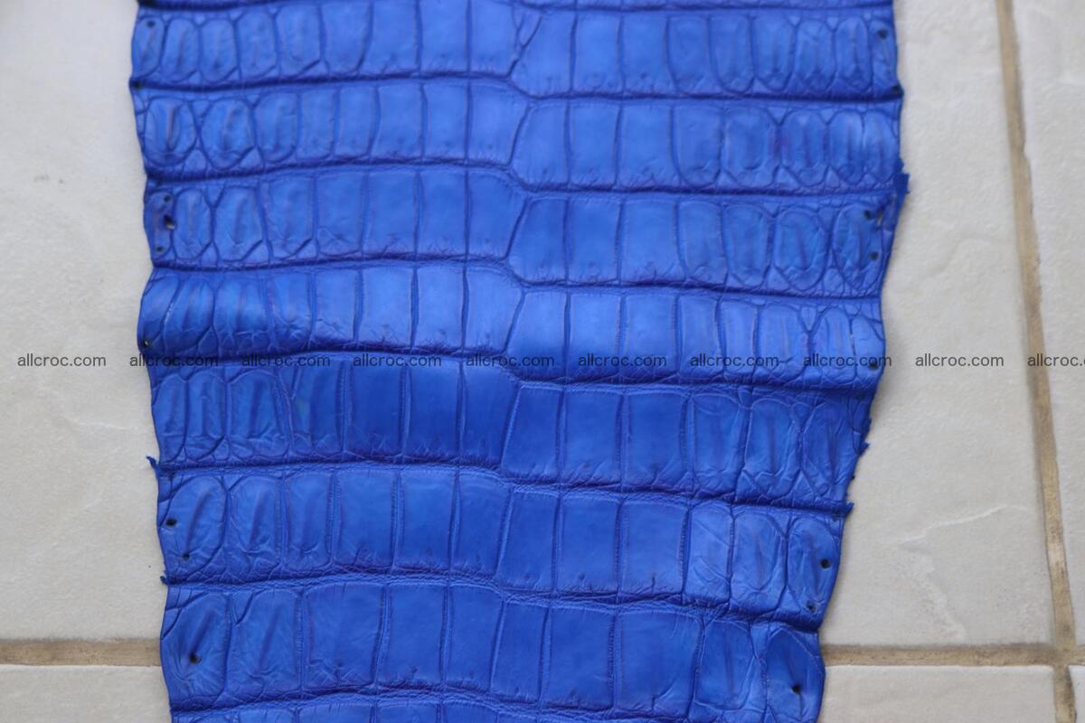 Crocodile skin belly blue color 1255 Foto 14