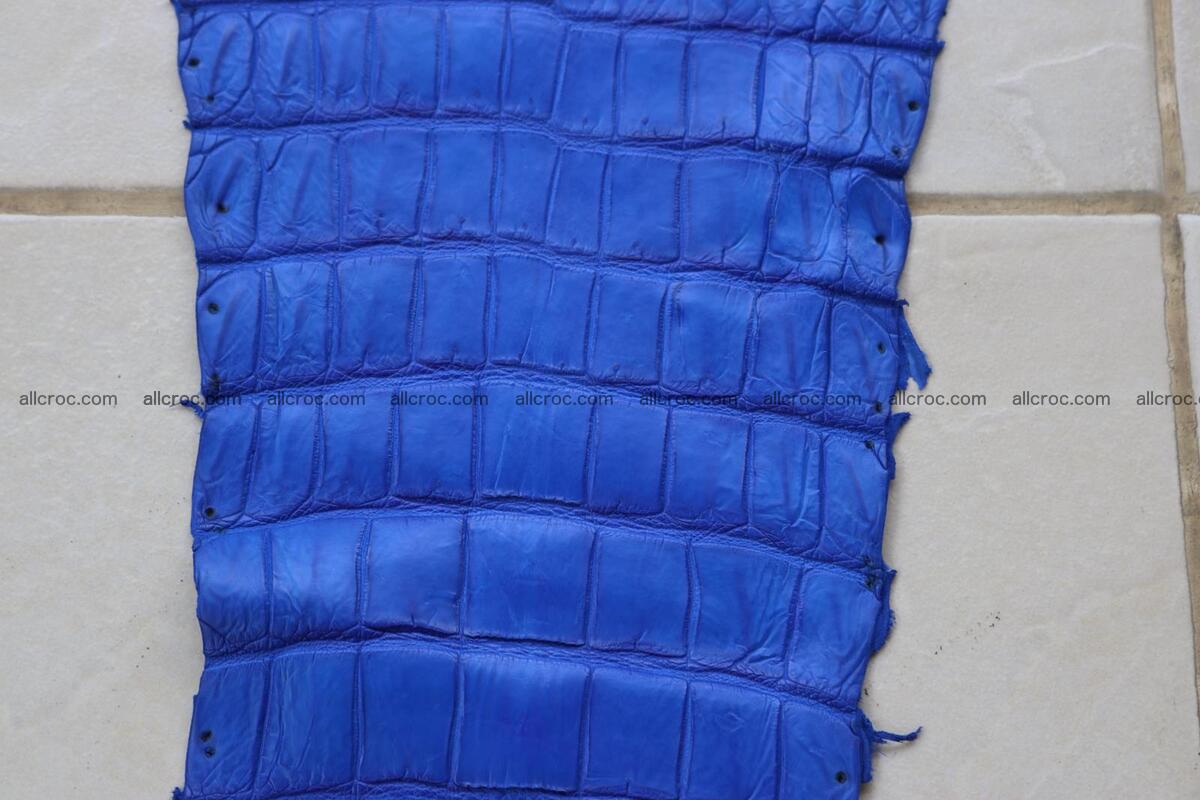 Crocodile skin belly blue color 1255 Foto 13