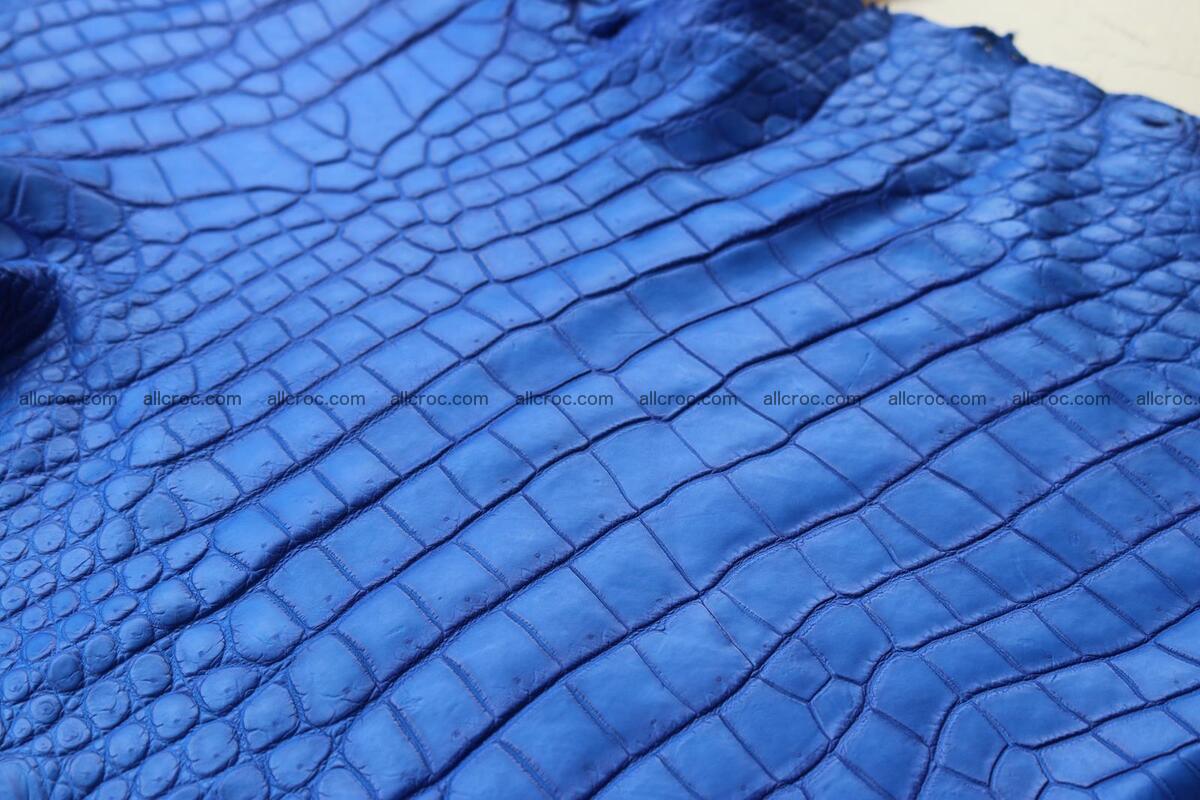 Crocodile skin belly blue color 1255 Foto 0