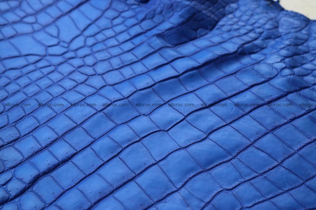 Crocodile skin belly blue color 1255 Foto 15