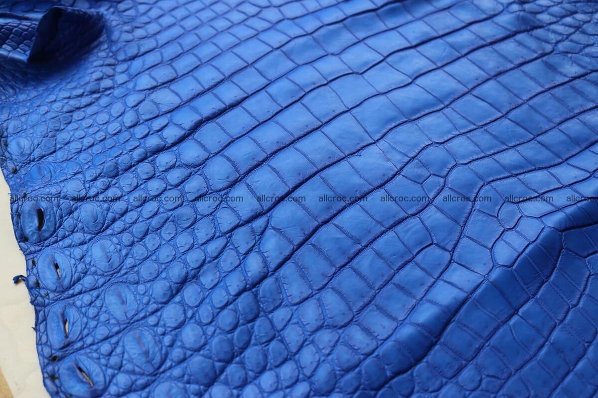 Crocodile skin belly blue color 1255 Foto 16