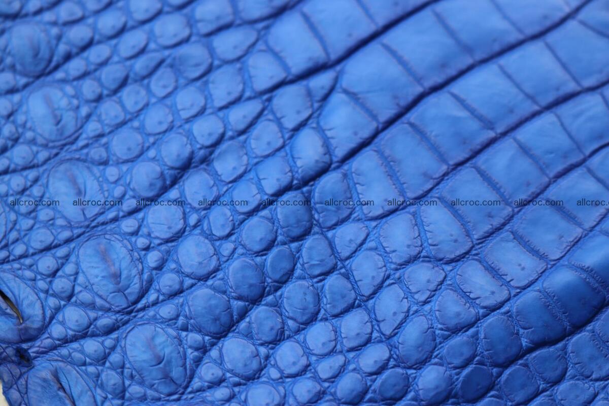 Crocodile skin belly blue color 1255 Foto 18