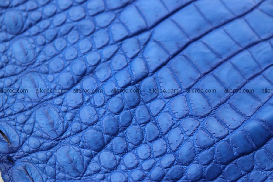 Crocodile skin belly blue color 1255