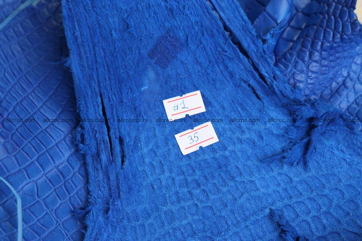 Crocodile skin belly blue color 1255 Foto 19