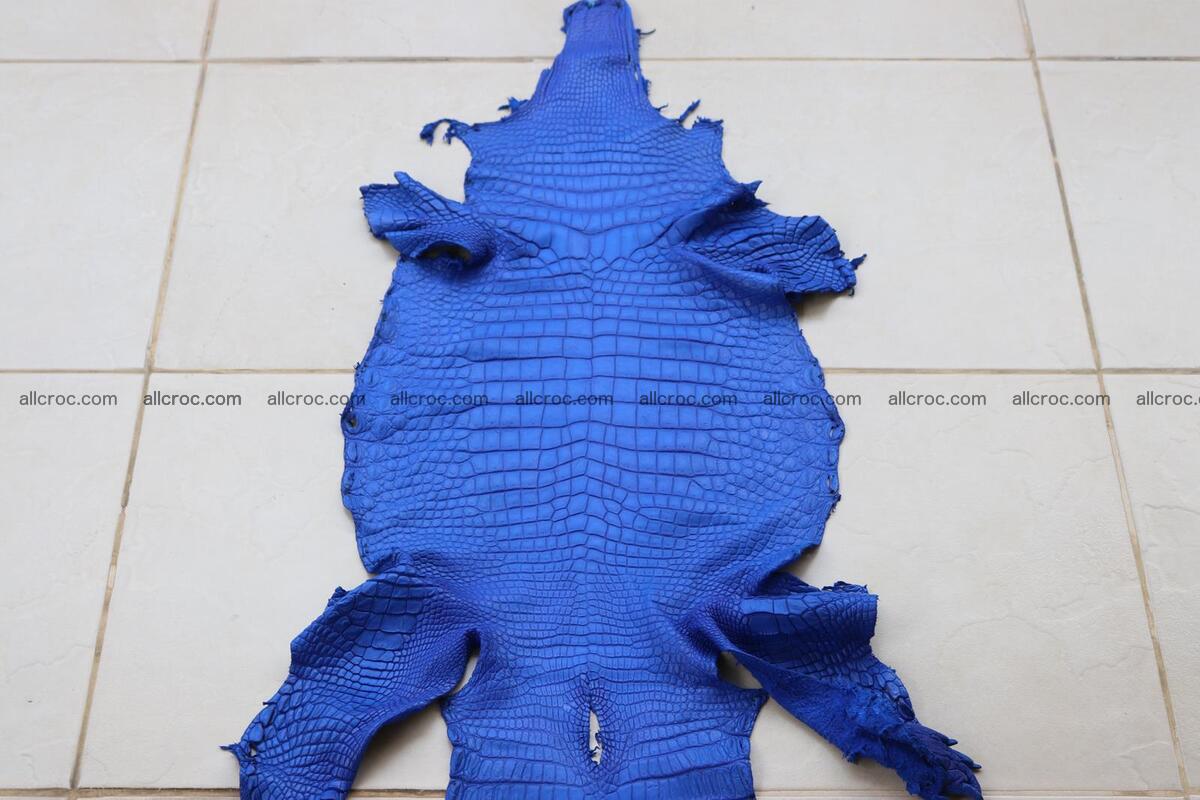 Crocodile skin belly blue color 1258 Foto 0