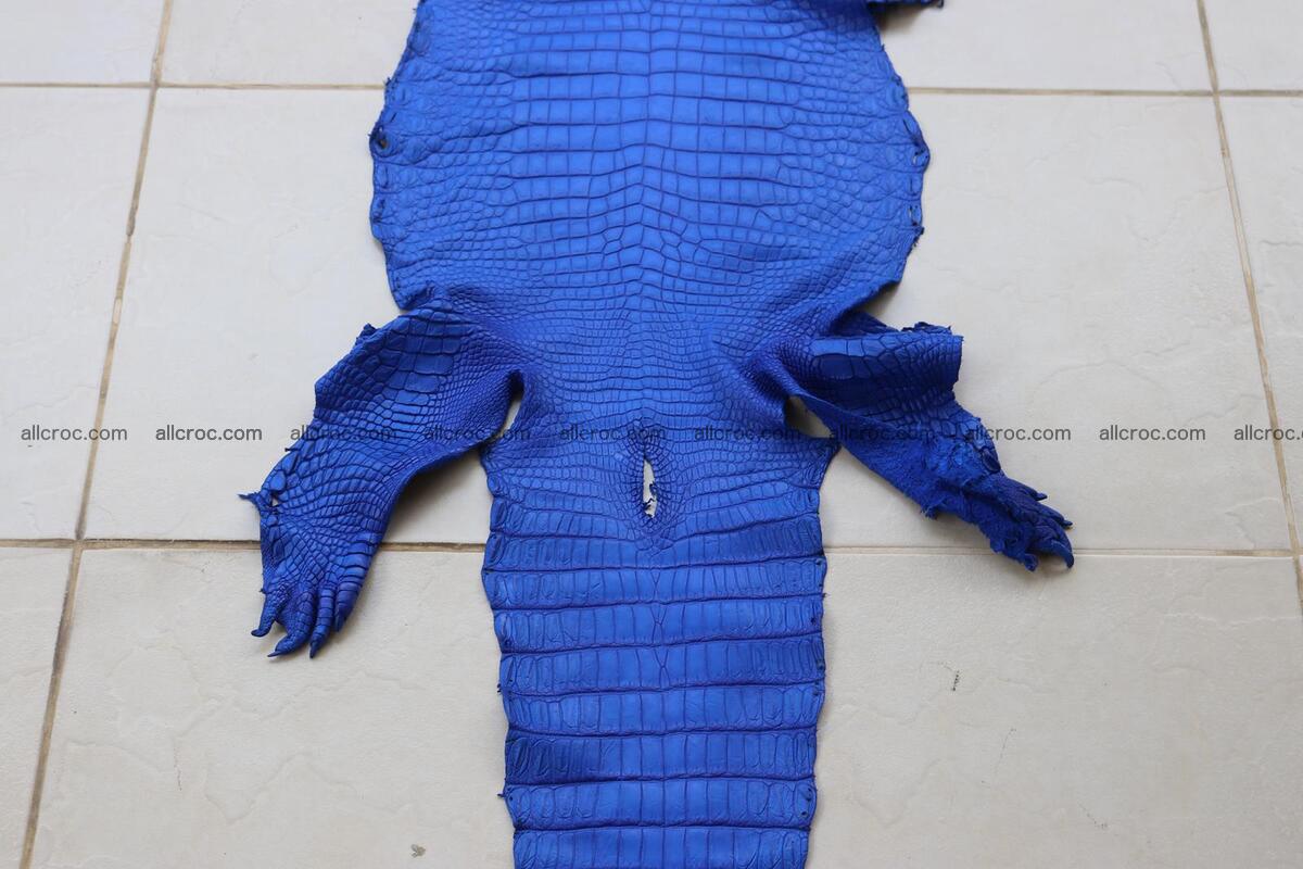 Crocodile skin belly blue color 1258 Foto 1