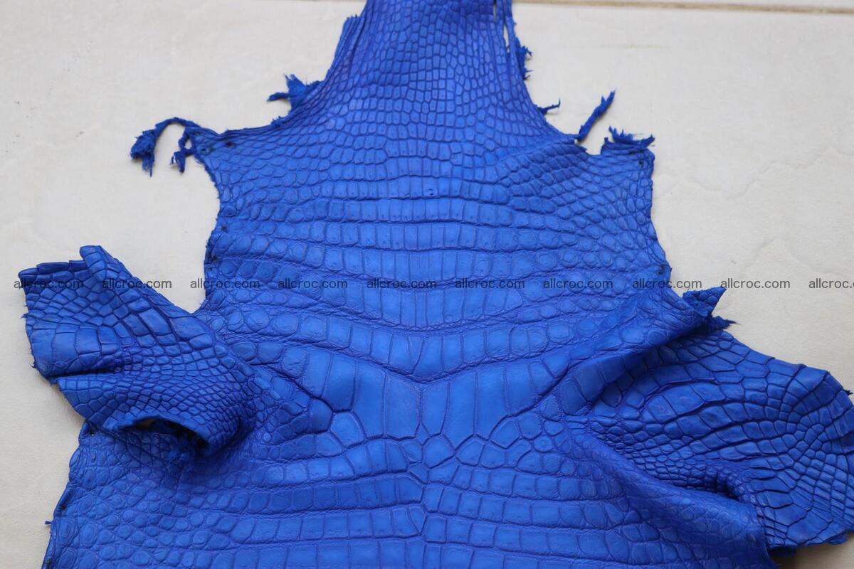 Crocodile skin belly blue color 1258 Foto 3