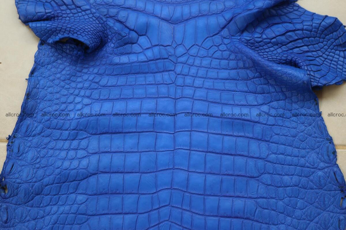 Crocodile skin belly blue color 1258 Foto 4