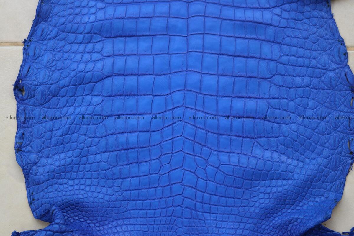 Crocodile skin belly blue color 1258 Foto 5
