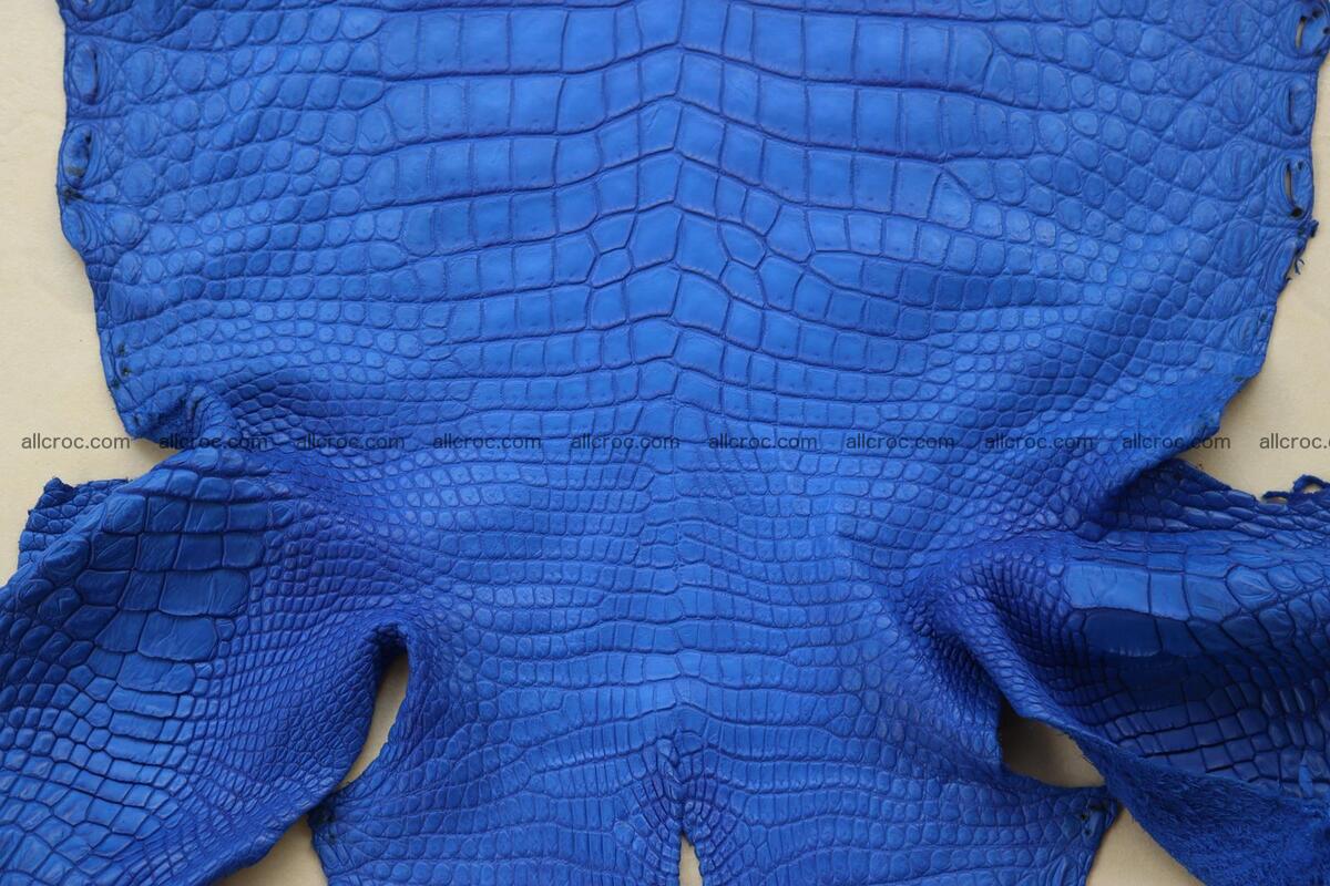 Crocodile skin belly blue color 1258 Foto 6