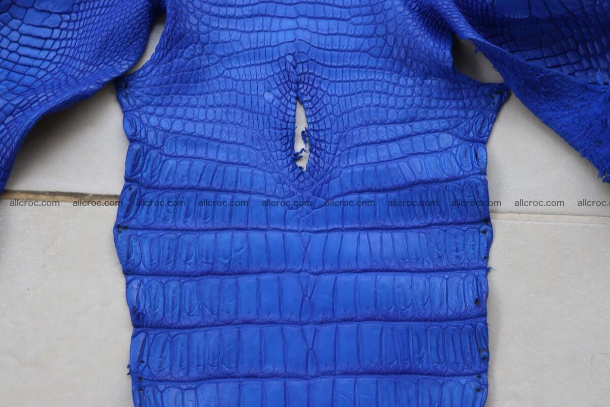 Crocodile skin belly blue color 1258 Foto 9