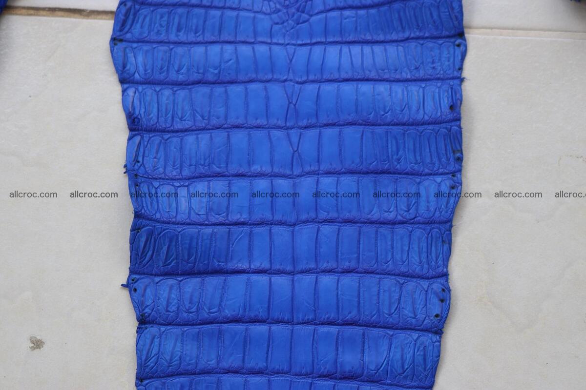 Crocodile skin belly blue color 1258 Foto 7