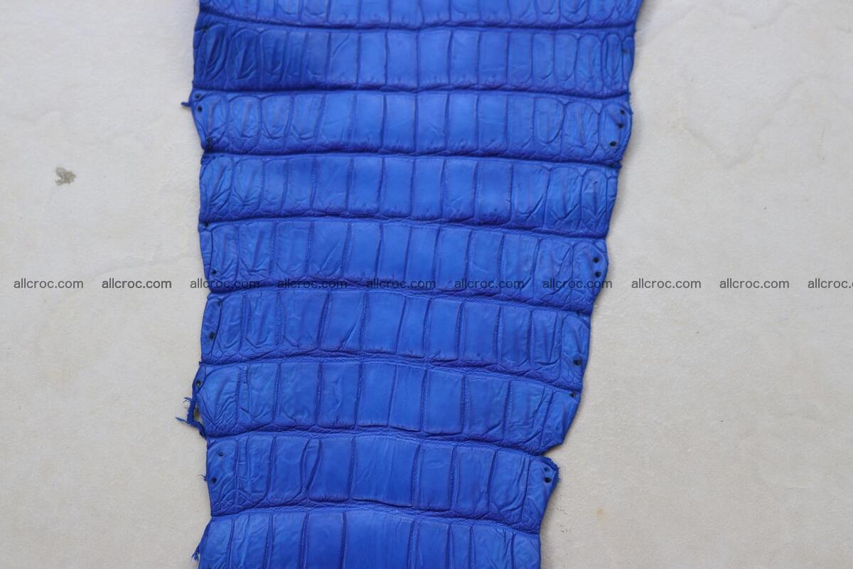 Crocodile skin belly blue color 1258 Foto 8