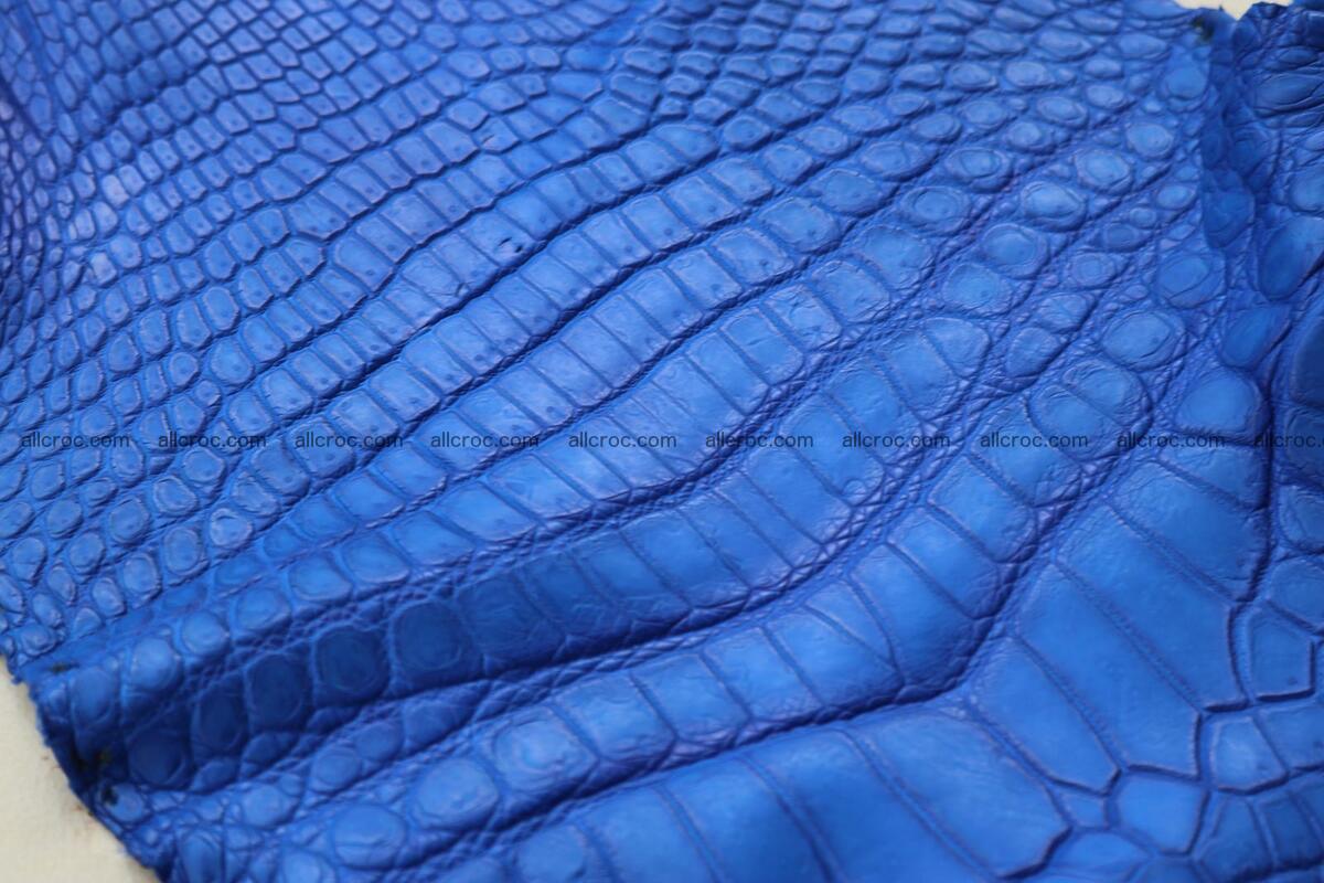 Crocodile skin belly blue color 1258 Foto 10