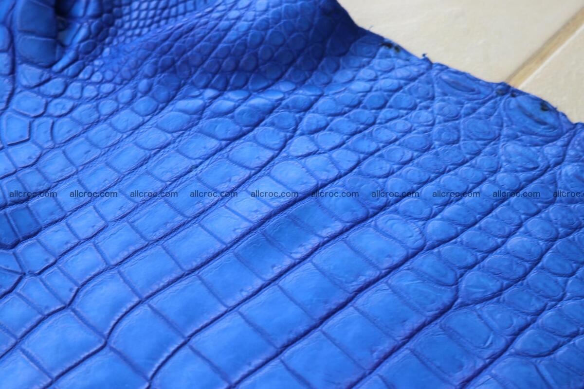 Crocodile skin belly blue color 1258 Foto 18