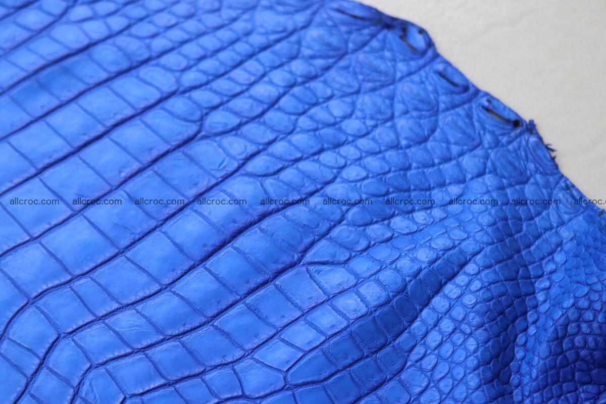 Crocodile skin belly blue color 1258 Foto 11