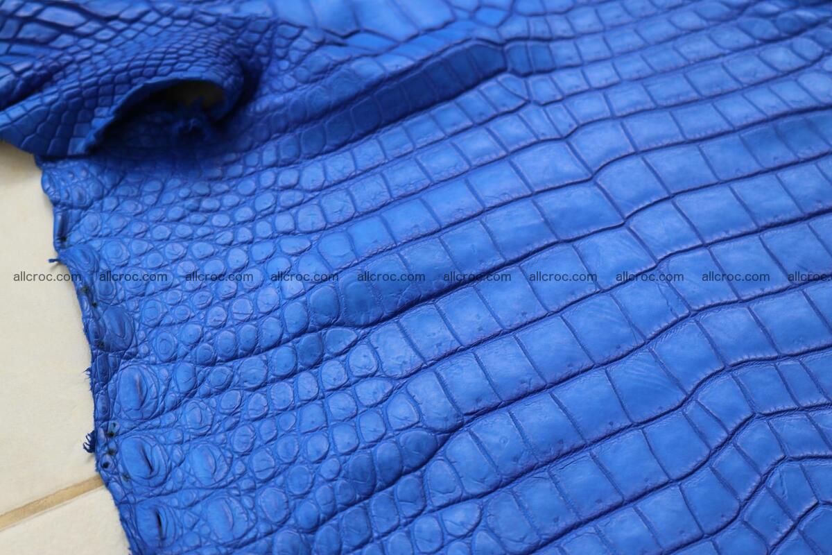Crocodile skin belly blue color 1258 Foto 15