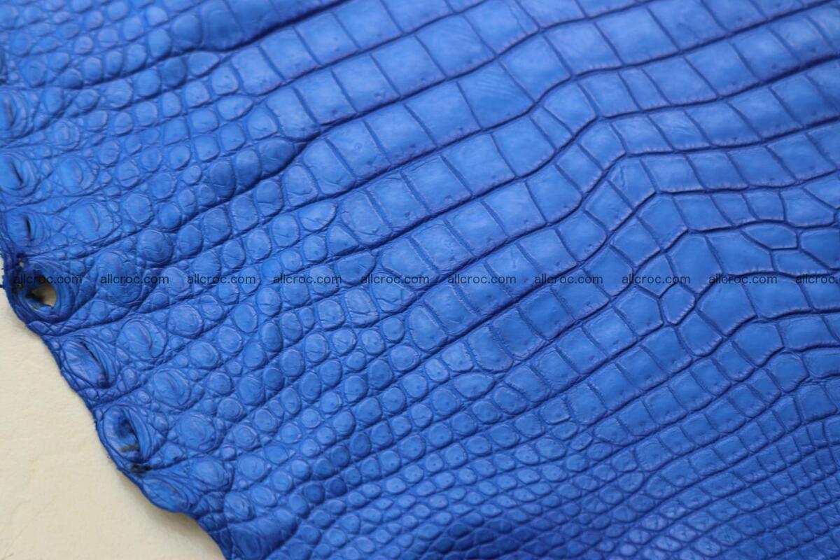 Crocodile skin belly blue color 1258 Foto 17