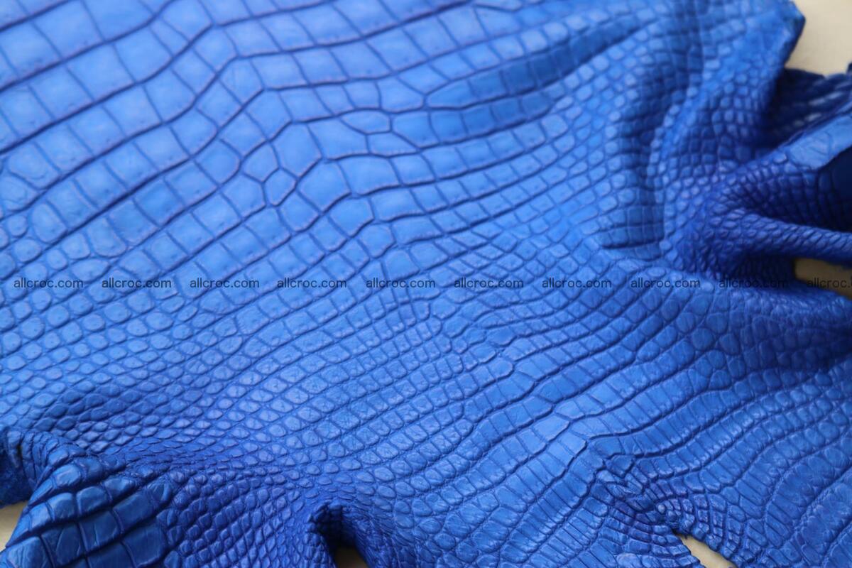 Crocodile skin belly blue color 1258 Foto 14