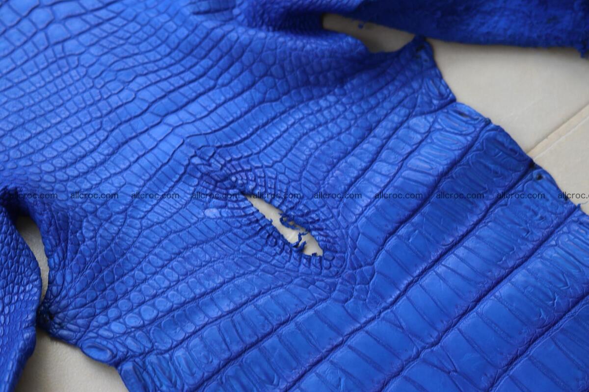 Crocodile skin belly blue color 1258 Foto 13