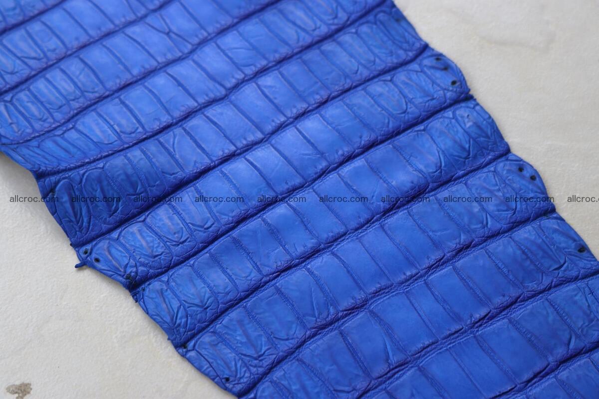 Crocodile skin belly blue color 1258 Foto 19