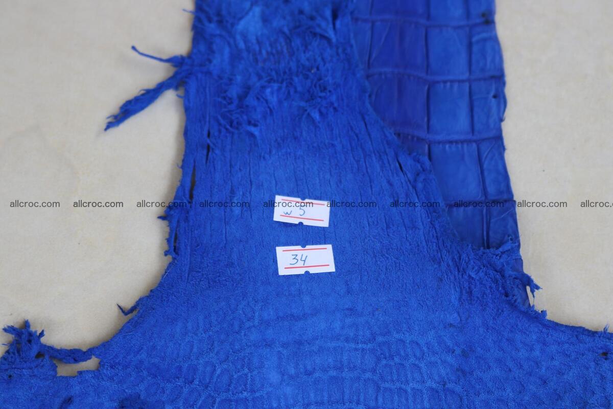 Crocodile skin belly blue color 1258 Foto 22