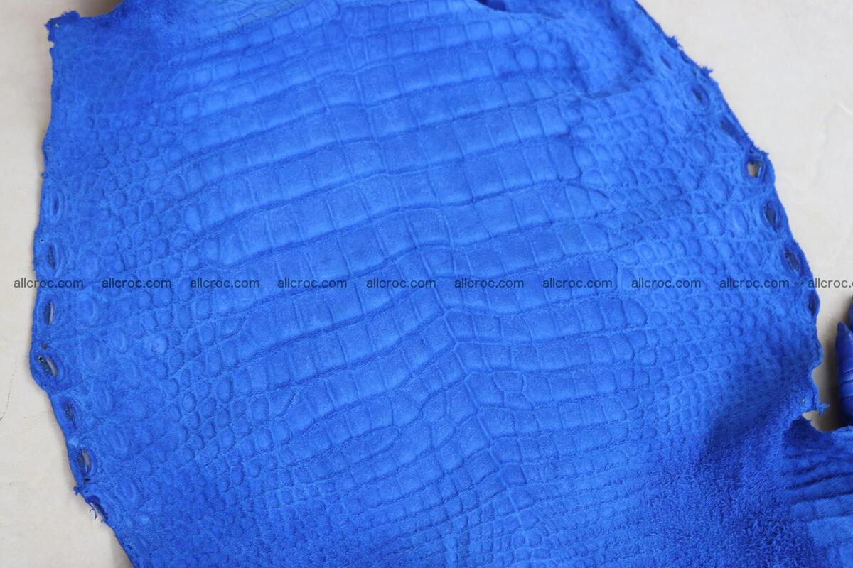 Crocodile skin belly blue color 1258 Foto 23
