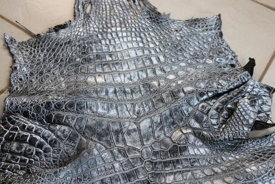 Crocodile skin belly brush off silver color 1227
