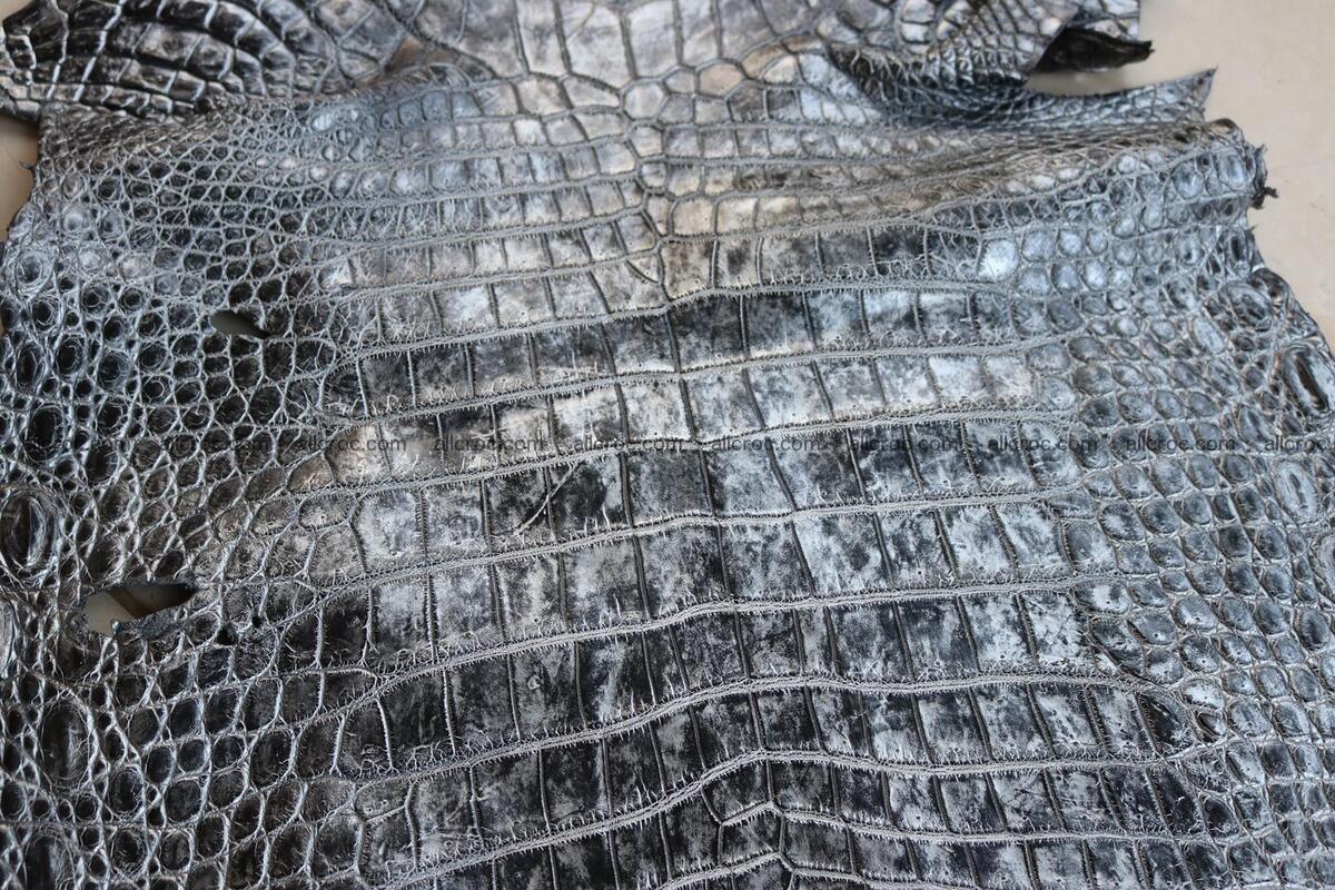 Crocodile skin belly brush off silver color 1227 Foto 3