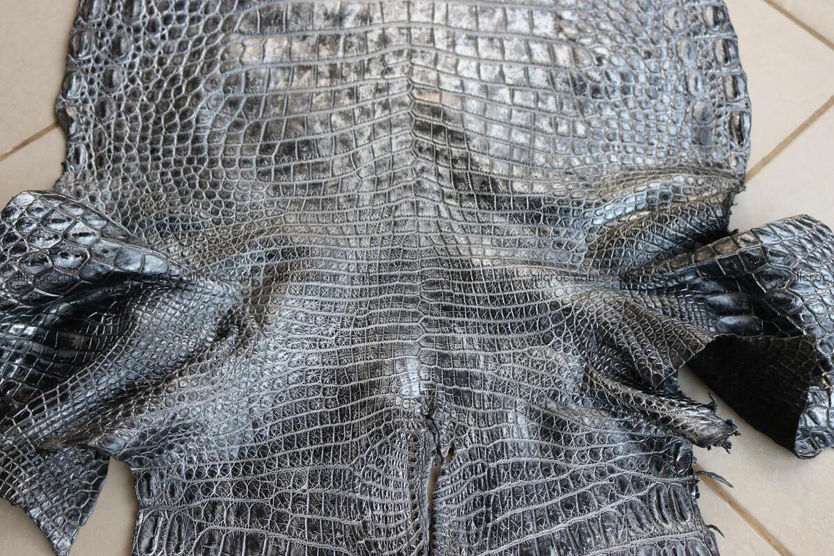 Crocodile skin belly brush off silver color 1227 Foto 8
