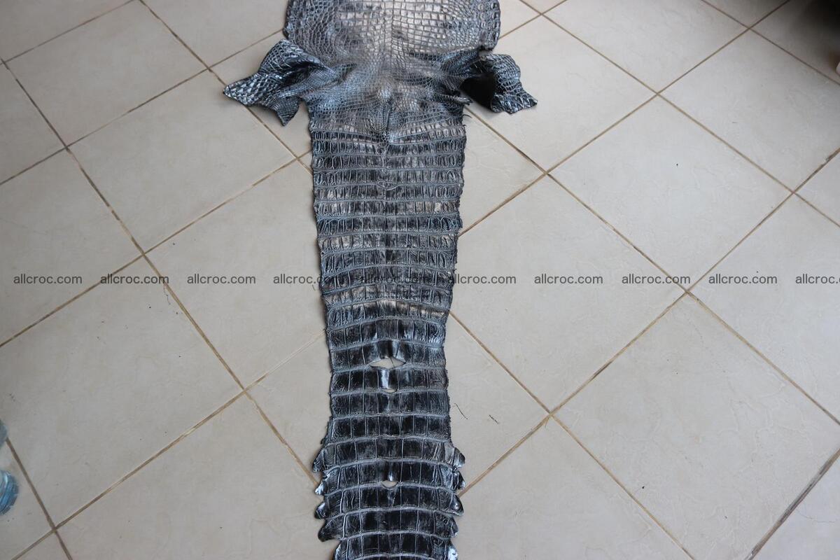Crocodile skin belly brush off silver color 1227 Foto 6