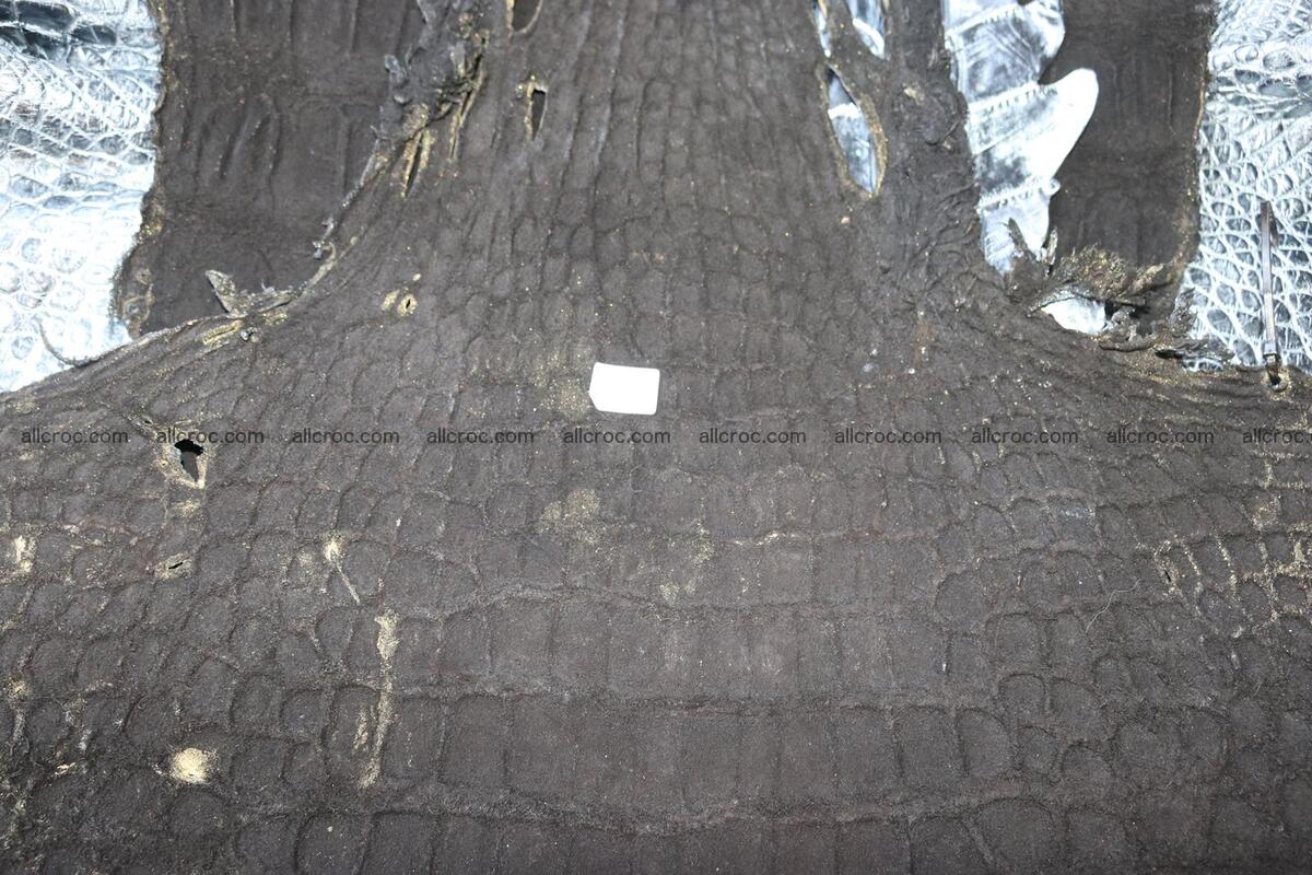 Crocodile skin belly brush off silver color 1227 Foto 11