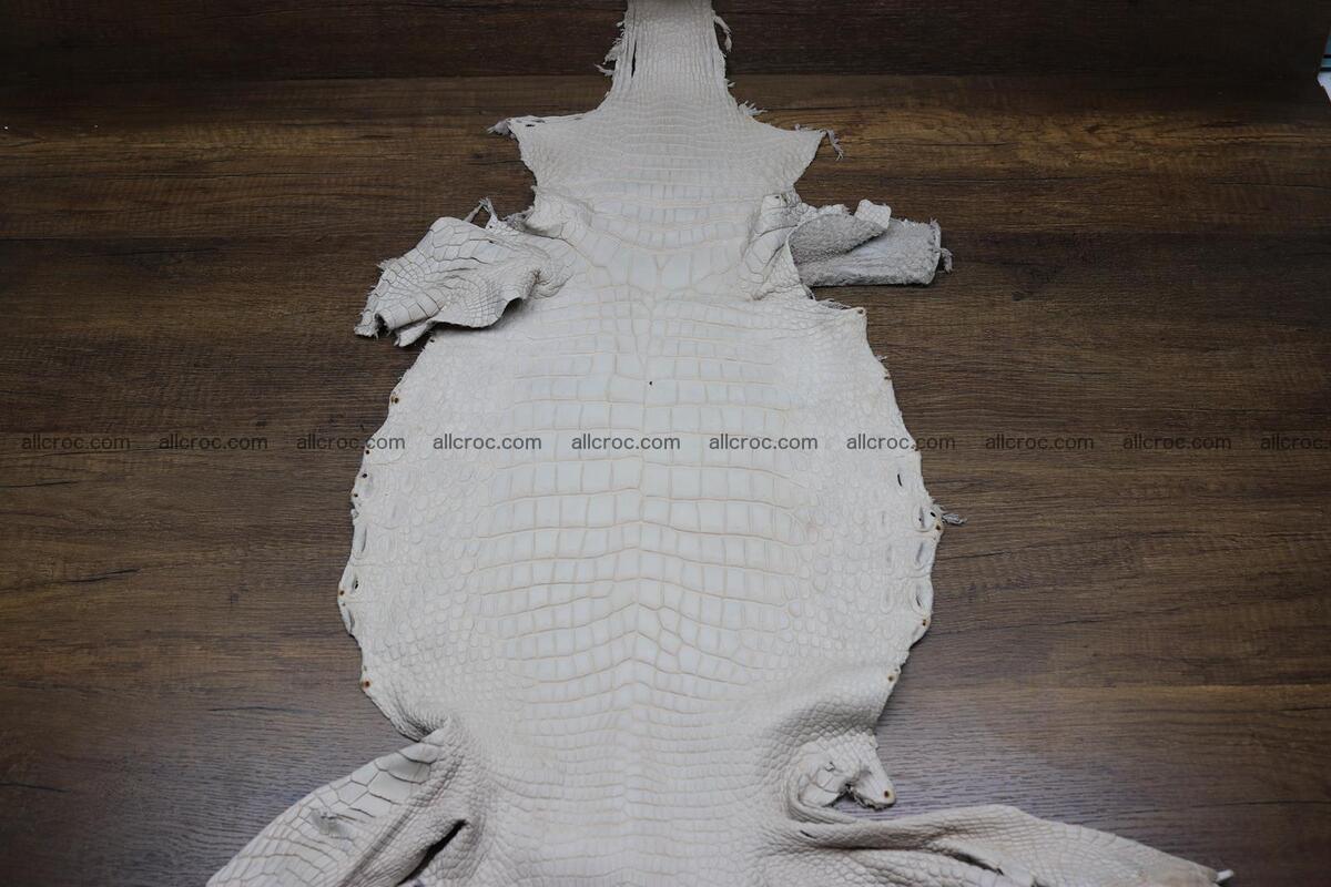 Crocodile skin belly capiccino color 1229 Foto 0
