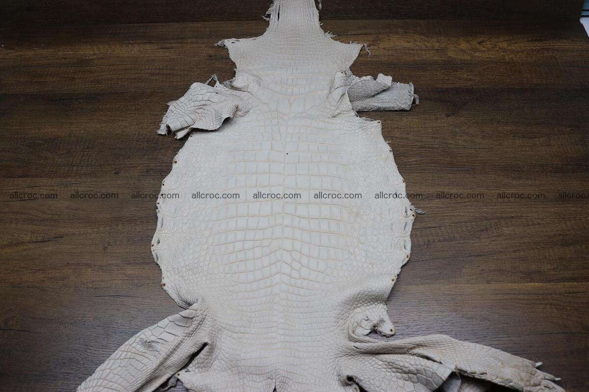 Crocodile skin belly capiccino color 1229 Foto 11