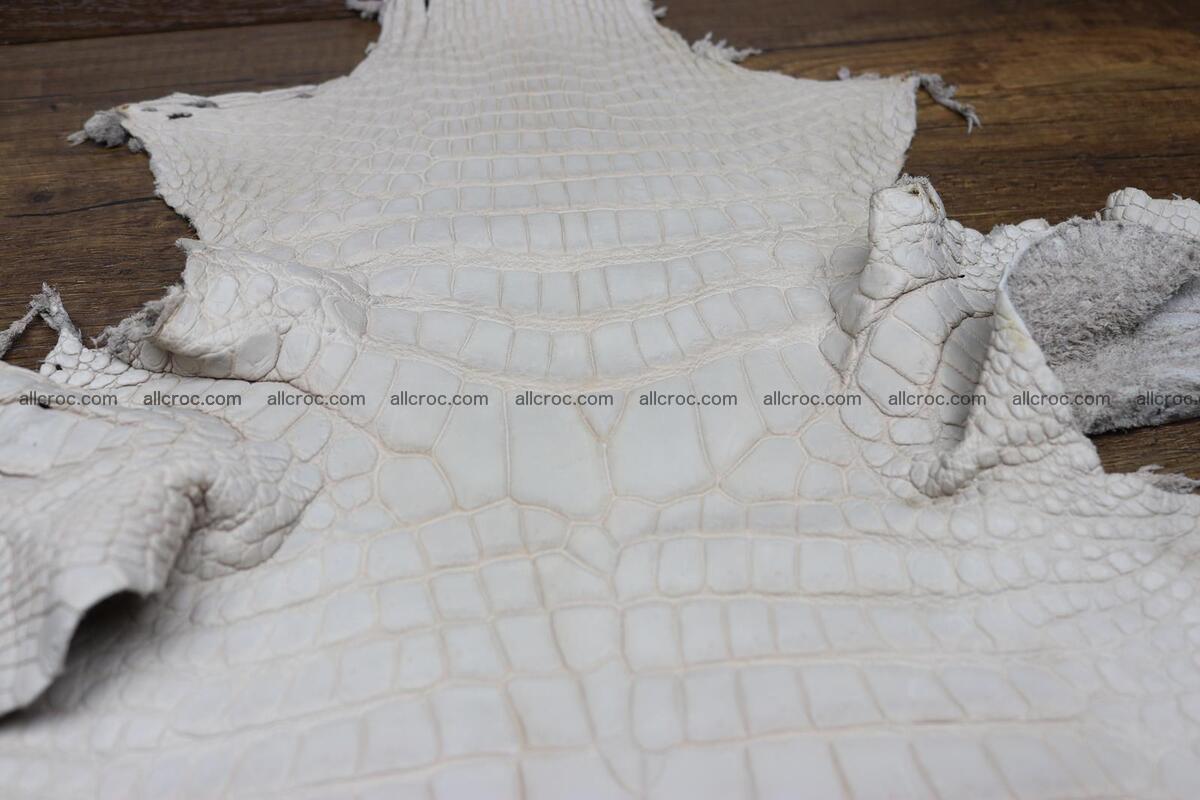 Crocodile skin belly capiccino color 1229 Foto 3