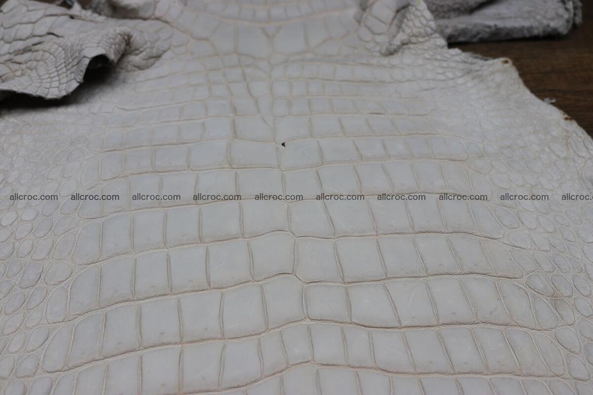 Crocodile skin belly capiccino color 1229 Foto 4