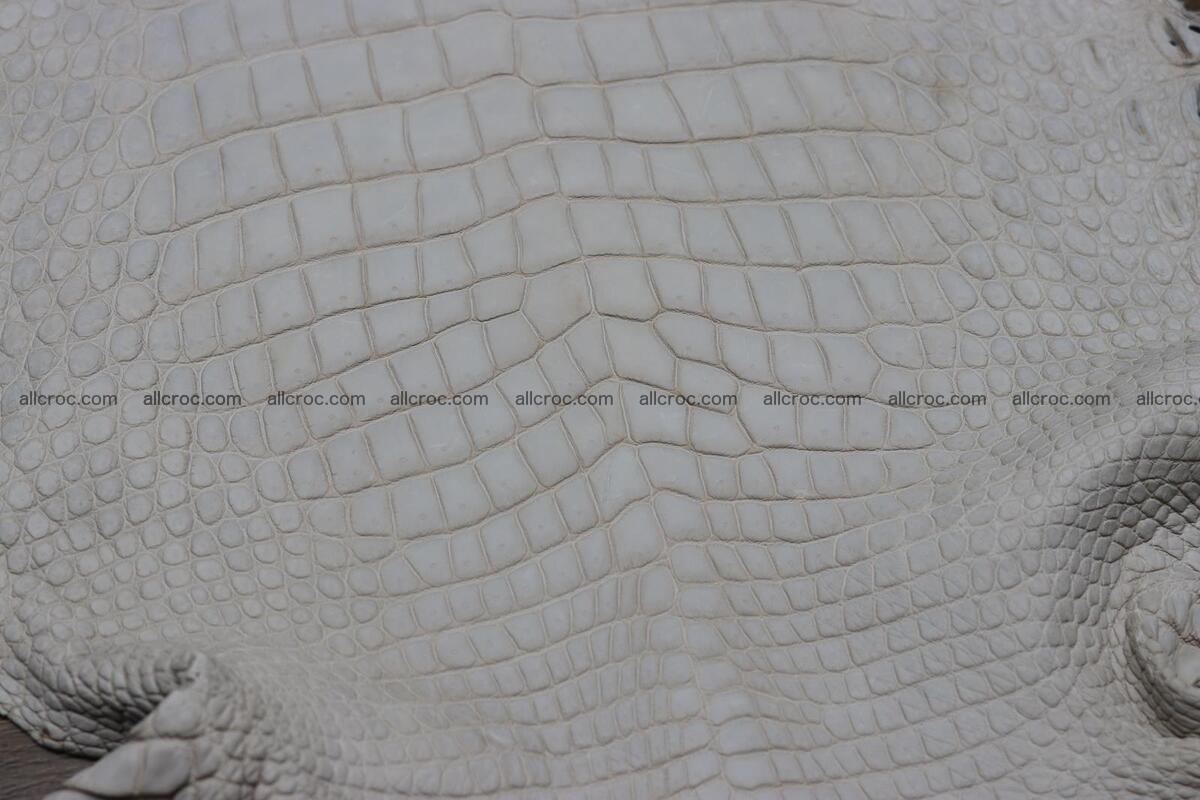 Crocodile skin belly capiccino color 1229 Foto 2