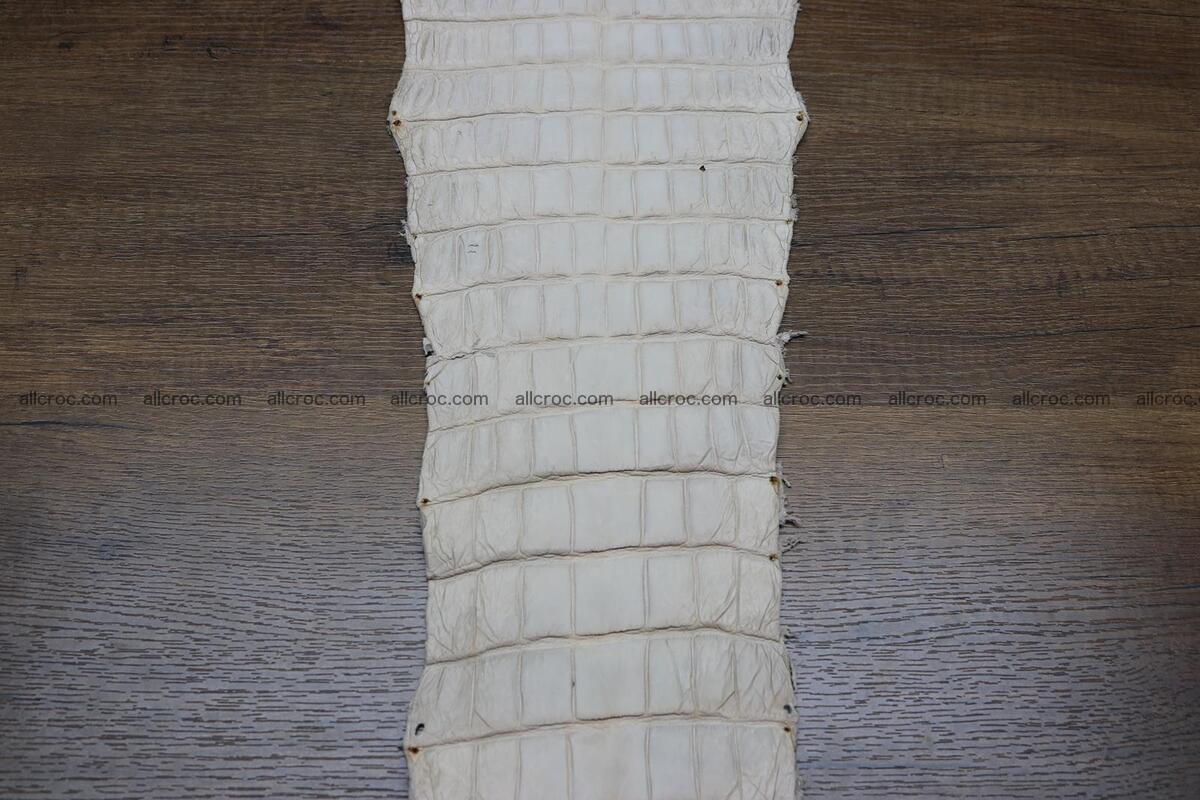 Crocodile skin belly capiccino color 1229 Foto 6