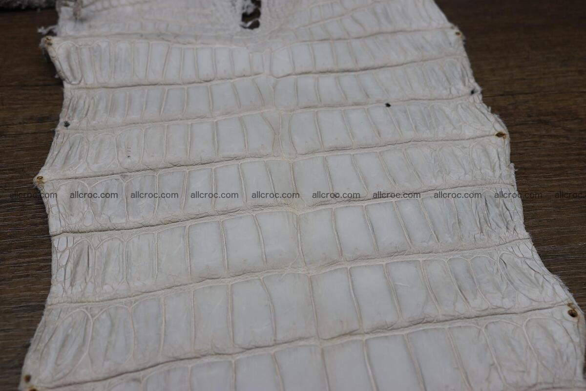 Crocodile skin belly capiccino color 1229 Foto 7