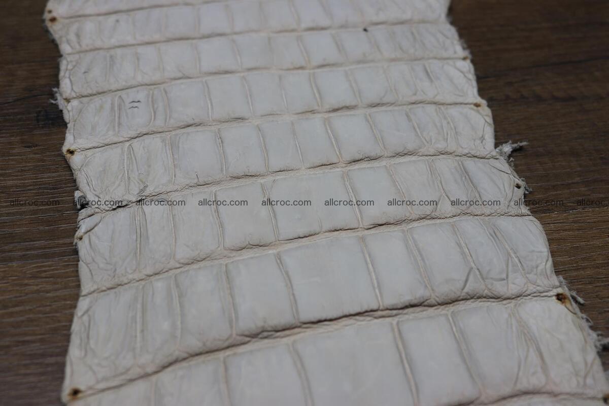 Crocodile skin belly capiccino color 1229 Foto 8