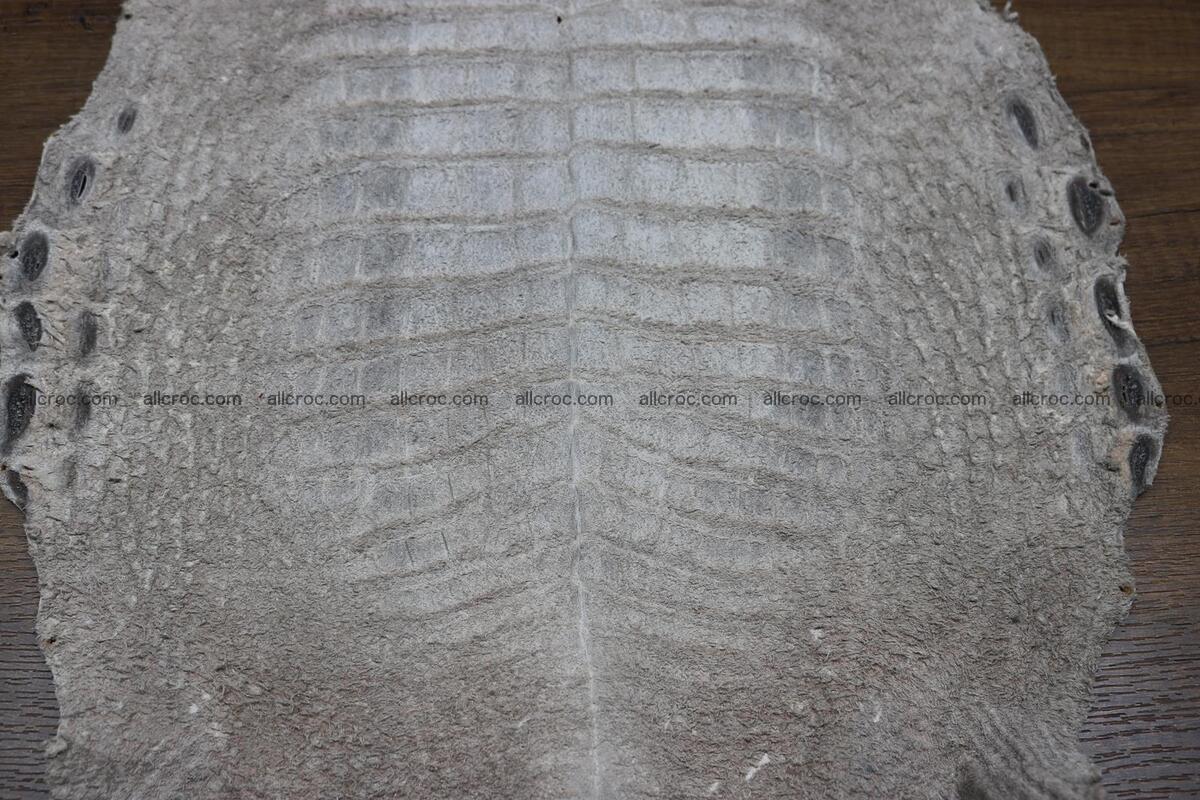 Crocodile skin belly capiccino color 1229 Foto 10